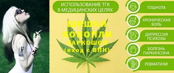 ПСИЛОЦИБИНОВЫЕ ГРИБЫ Горнозаводск