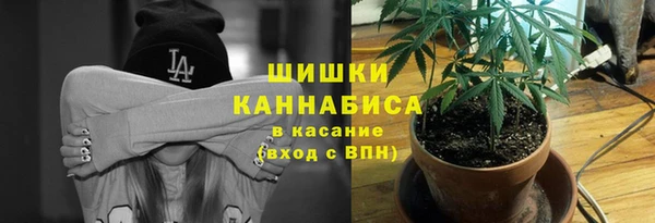 ПСИЛОЦИБИНОВЫЕ ГРИБЫ Горнозаводск