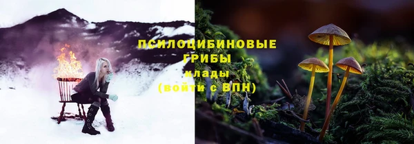 герыч Горняк