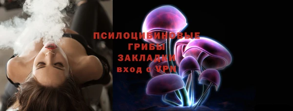 ПСИЛОЦИБИНОВЫЕ ГРИБЫ Горнозаводск