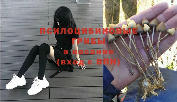 герыч Горняк