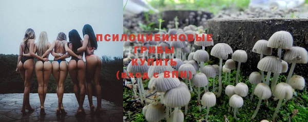 прущий лед Березники