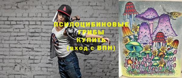 ПСИЛОЦИБИНОВЫЕ ГРИБЫ Горнозаводск